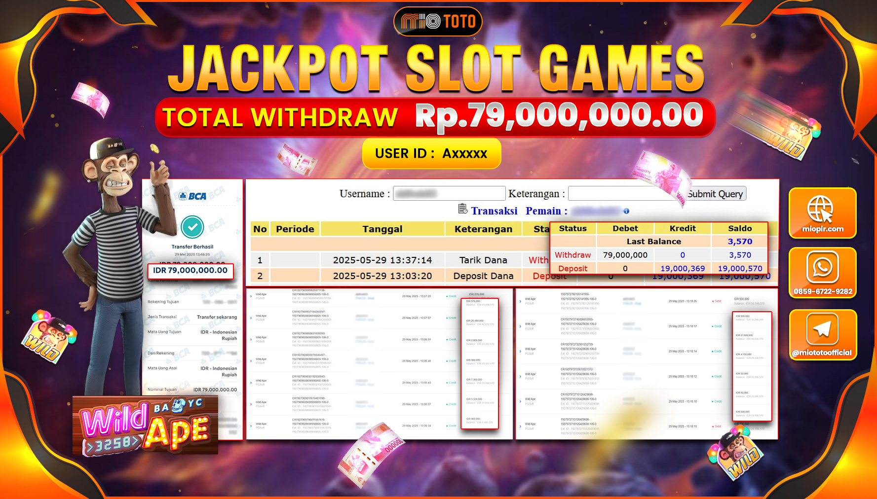 JACKPOT SLOT WILD APE Rp.79,000,000 DI BAYAR TUNAI !!!
